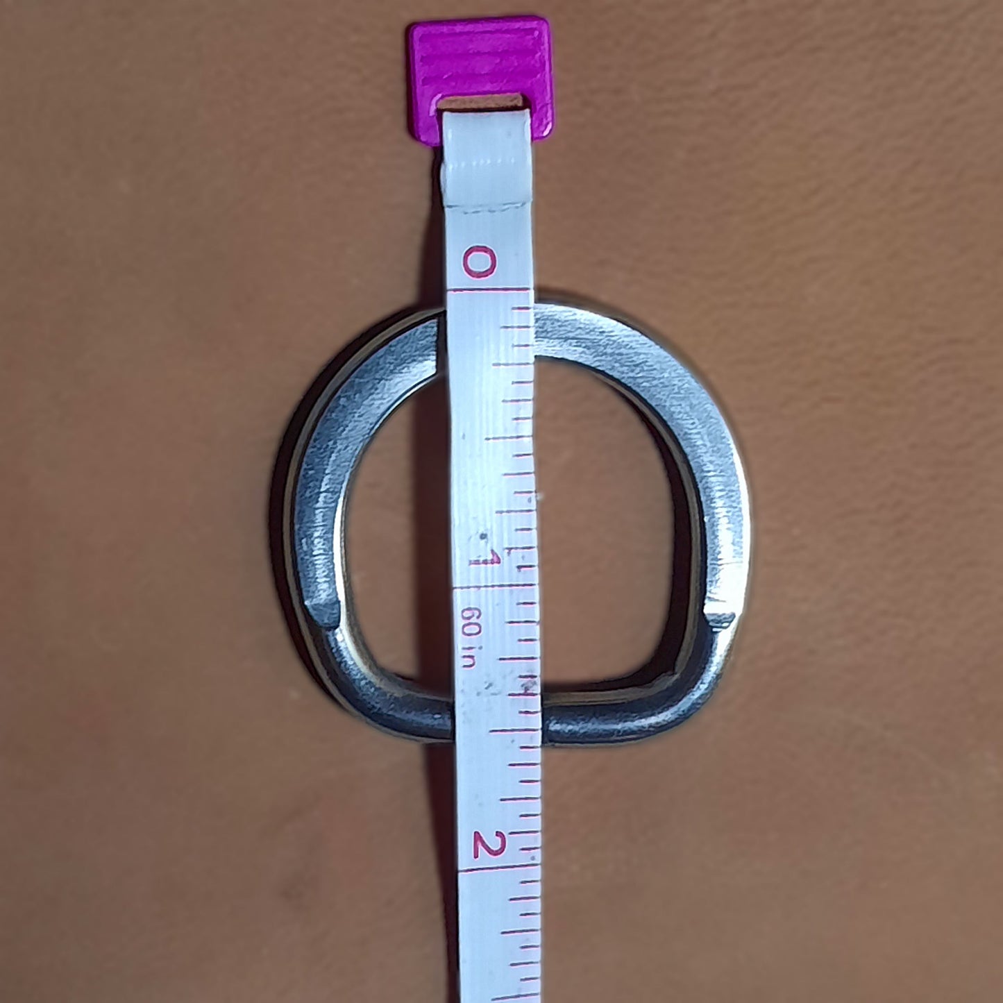 1” Dee Ring - Stainless Steel