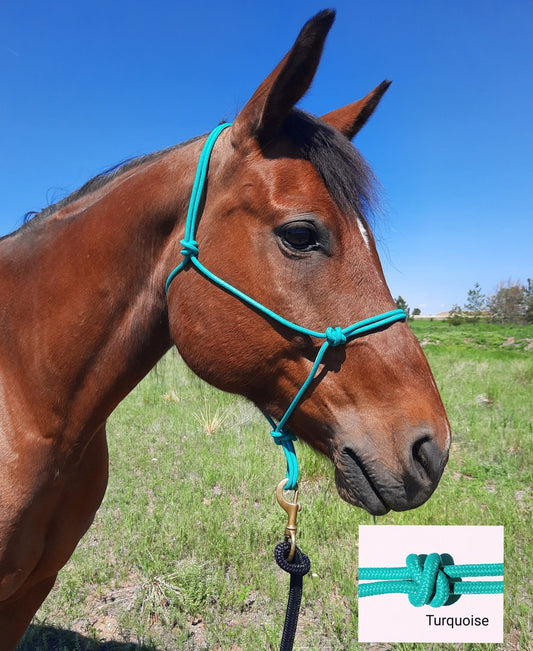 Rope Halter Assorted Colors - 2 Knot